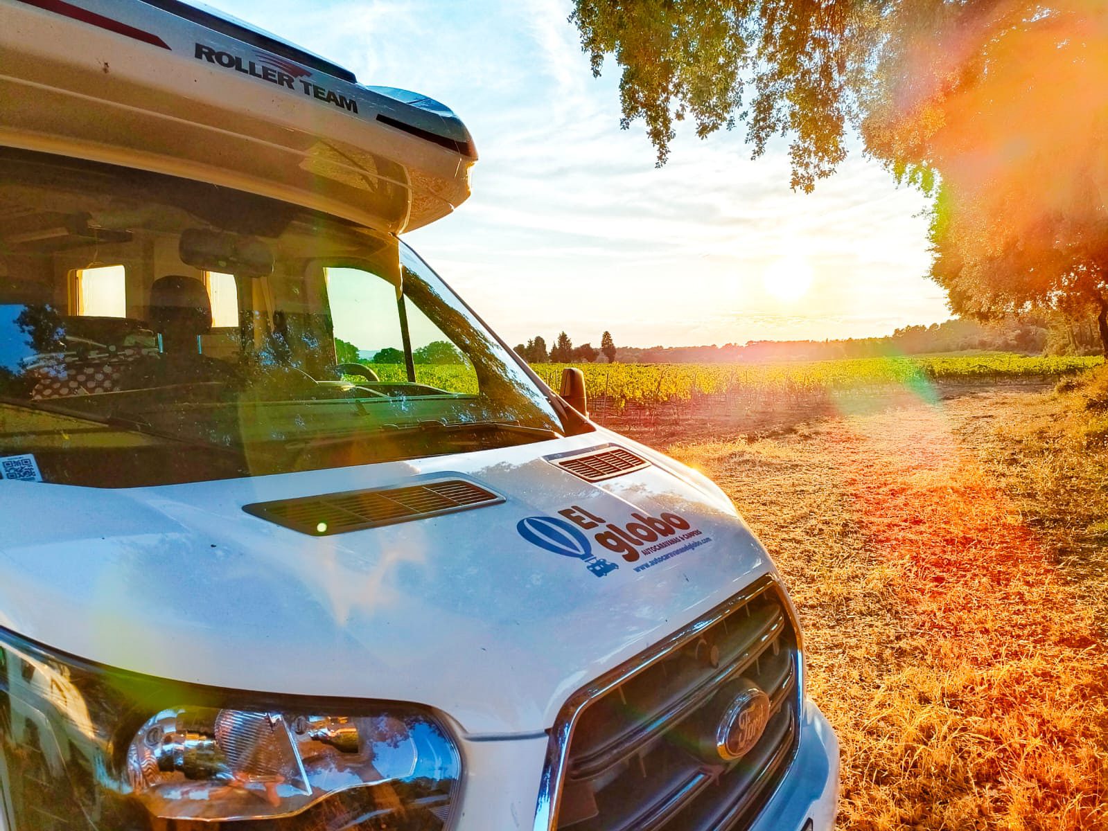 WhatsApp Image 2022-08-17 at 1.48.15 PM