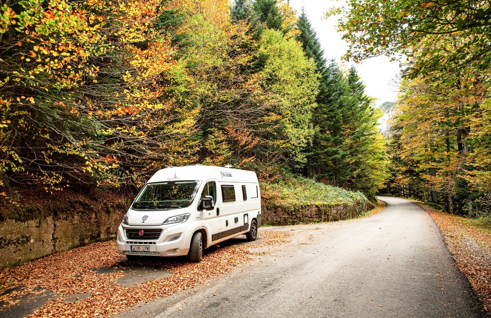 ac313f86-d642-404d-9456-ba250179226e